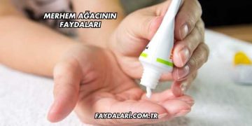 Merhem Ağacının Faydaları