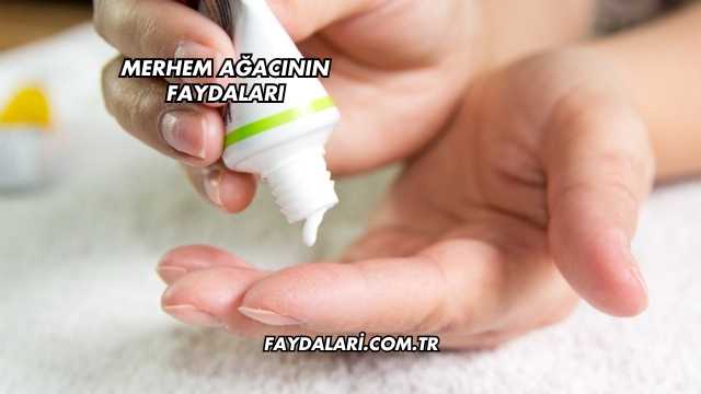 Merhem Ağacının Faydaları