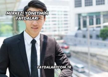 Merkezi Yönetimin Faydaları