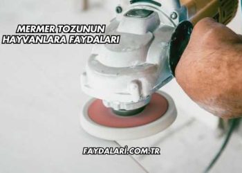 Mermer Tozunun Hayvanlara Faydaları