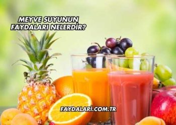Meyve Suyunun Faydaları Nelerdir?