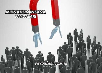 Mıknatısın İnsana Faydaları