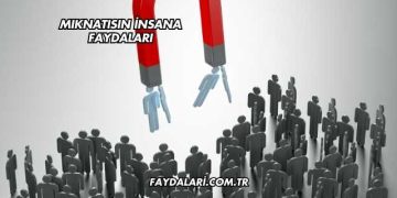 Mıknatısın İnsana Faydaları