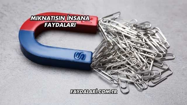 Mıknatısın İnsana Faydaları