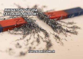 Mıknatısın Vücuda Faydaları Nelerdir?