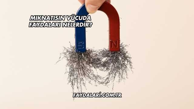 Mıknatısın Vücuda Faydaları Nelerdir?