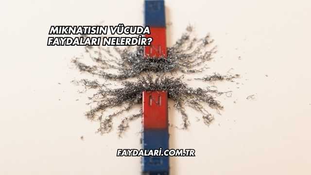 Mıknatısın Vücuda Faydaları Nelerdir?