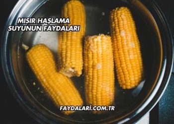 Mısır Haşlama Suyunun Faydaları