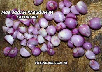 Mor Soğan Kabuğunun Faydaları