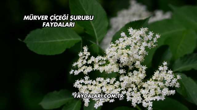 Mürver Çiçeği Şurubu Faydaları