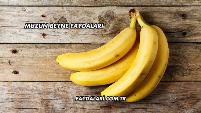 Muzun Beyne Faydaları