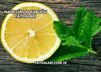 Nane Limon Kabuğu Faydaları