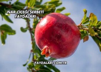 Nar Çiçeği Şerbeti Faydaları