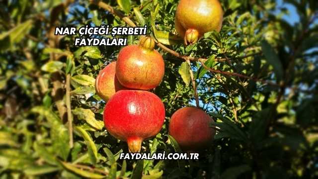 Nar Çiçeği Şerbeti Faydaları