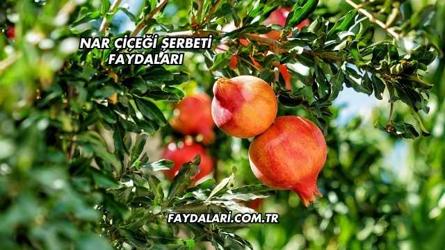 Nar Çiçeği Şerbeti Faydaları