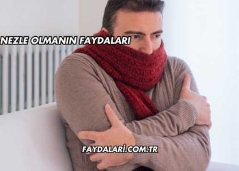 Nezle Olmanın Faydaları