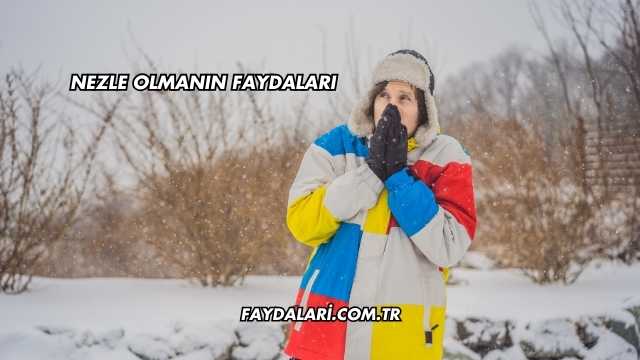 Nezle Olmanın Faydaları