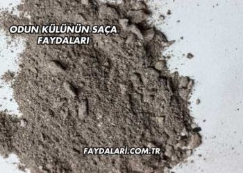 Odun Külünün Saça Faydaları