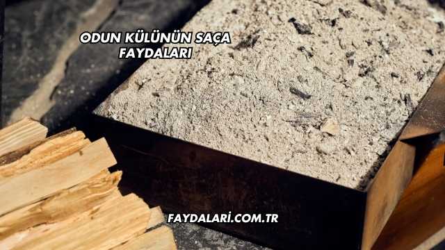 Odun Külünün Saça Faydaları