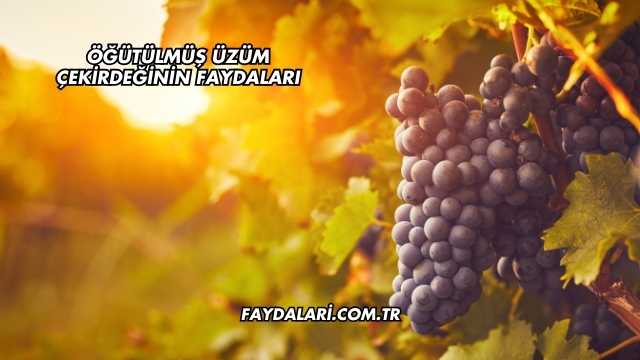 Öğütülmüş Üzüm Çekirdeğinin Faydaları