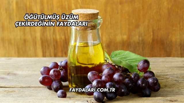 Öğütülmüş Üzüm Çekirdeğinin Faydaları