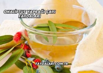 Okaliptus Yaprağı Çayı Faydaları
