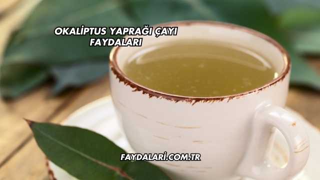 Okaliptus Yaprağı Çayı Faydaları