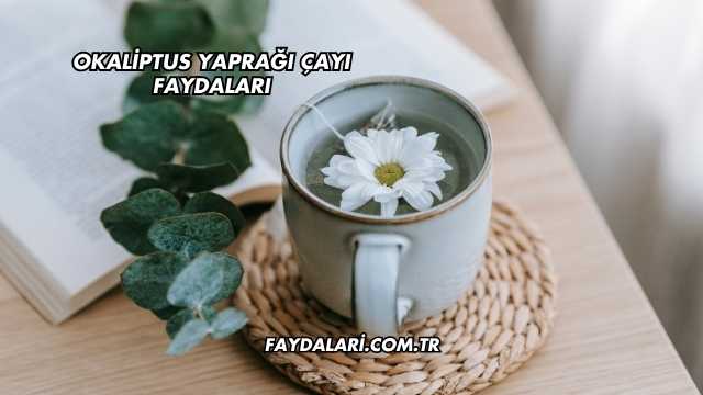 Okaliptus Yaprağı Çayı Faydaları