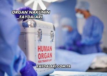 Organ Naklinin Faydaları
