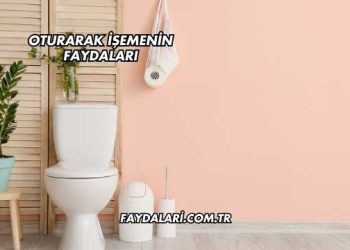 Oturarak İşemenin Faydaları