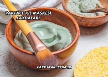 Pakface Kil Maskesi Faydaları