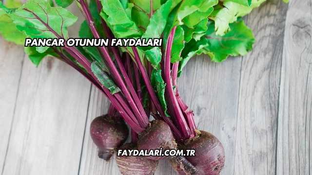 Pancar Otunun Faydaları