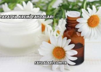 Papatya Kremi Faydaları