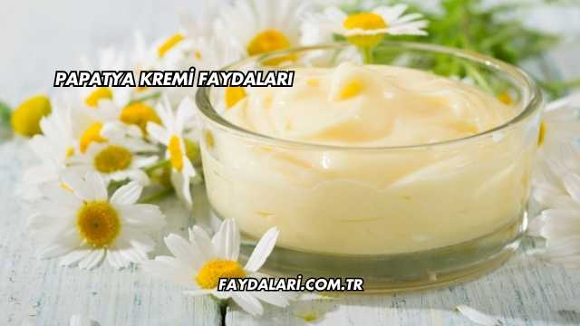 Papatya Kremi Faydaları