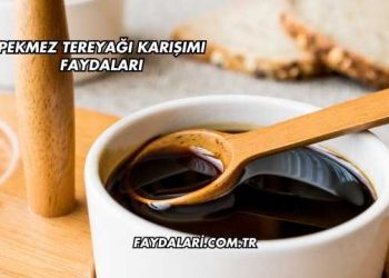 Pekmez Tereyağı Karışımı Faydaları