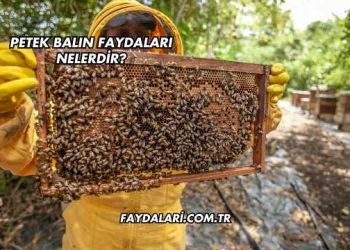 Petek Balın Faydaları Nelerdir?
