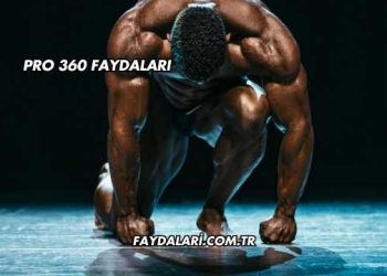 Pro 360 Faydaları