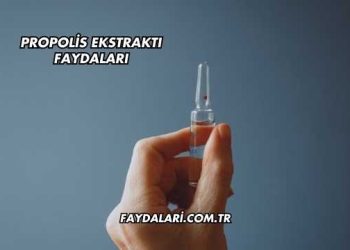 Propolis Ekstraktı Faydaları
