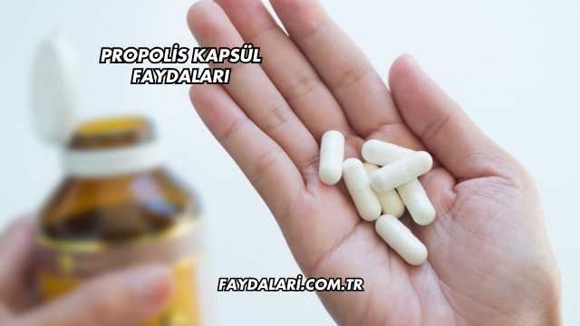 Propolis Kapsül Faydaları