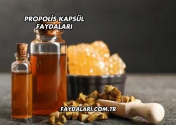 Propolis Kapsül Faydaları