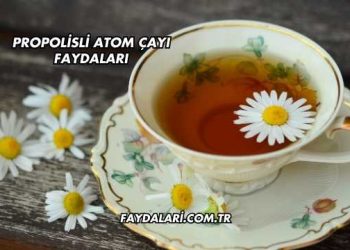 Propolisli Atom Çayı Faydaları