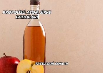 Propolisli Atom Sirke Faydaları