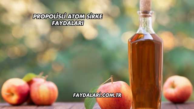 Propolisli Atom Sirke Faydaları