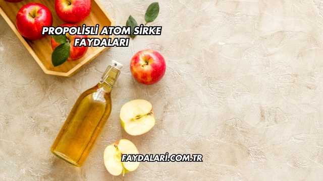 Propolisli Atom Sirke Faydaları