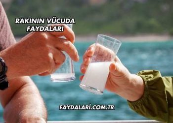 Rakının Vücuda Faydaları