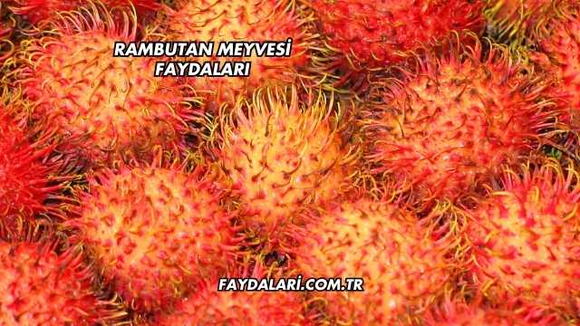 Rambutan Meyvesi Faydaları
