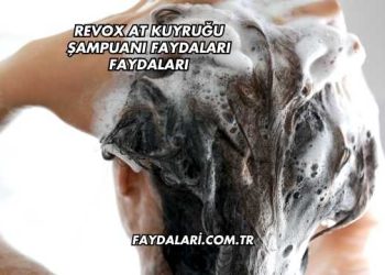 Revox At Kuyruğu Şampuanı Faydaları