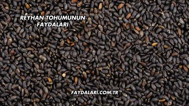Reyhan Tohumunun Faydaları