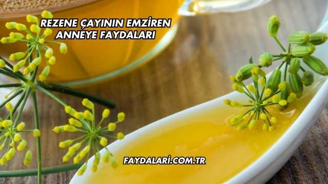 Rezene Çayının Emziren Anneye Faydaları