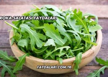 Roka Salatası Faydaları